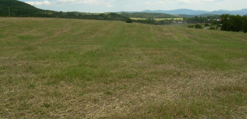 Pozemok 9.100 m2, OV, Zemianske Podhradie