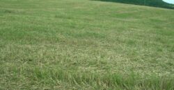 Pozemok 9.100 m2, OV, Zemianske Podhradie